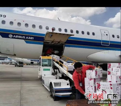 南航物流攜手廣東省農(nóng)業(yè)農(nóng)村廳助力‘荔’啟航，廣州物流賦能現(xiàn)代農(nóng)業(yè)新篇章